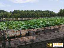 200多的折叠双屏手机？中兴天机M简评-第30张图片-90博客网