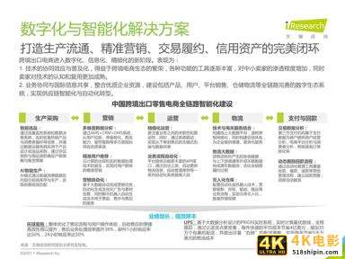 2020-2021年中国跨境出口B2C电商年度发展报告-第37张图片-90博客网