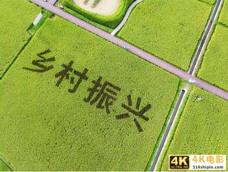 阿里突然宣布捐款1000亿元，是资本的良心发现，还是有利可图？-第6张图片-90博客网