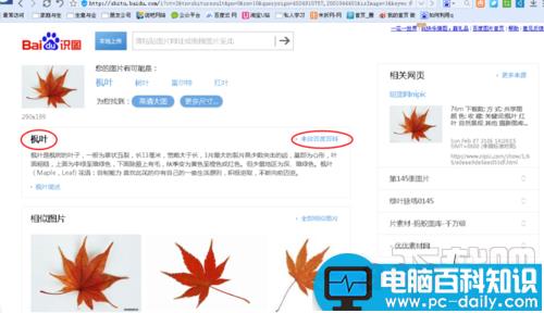 怎么用百度识图来教小孩子进行图片辨识-第5张图片-90博客网