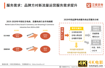 中国品牌电商服务商行业报告：2021年市场规模接近3000亿元-第31张图片-90博客网