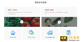 顺丰驿站双网战略曝光-第4张图片-90博客网