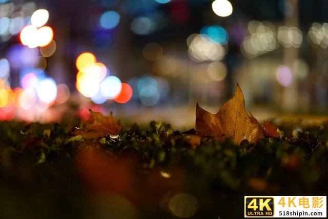 好用不贵的大光圈 松下LUMIXS 85mm F1.8评测-第17张图片-90博客网