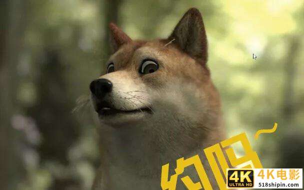 2021狗狗币大涨（马斯克正在与狗狗币合作）-第4张图片-90博客网