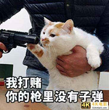 一个小快递一天烧掉2个亿，为什么中国企业这么喜欢打价格战？-第6张图片-90博客网
