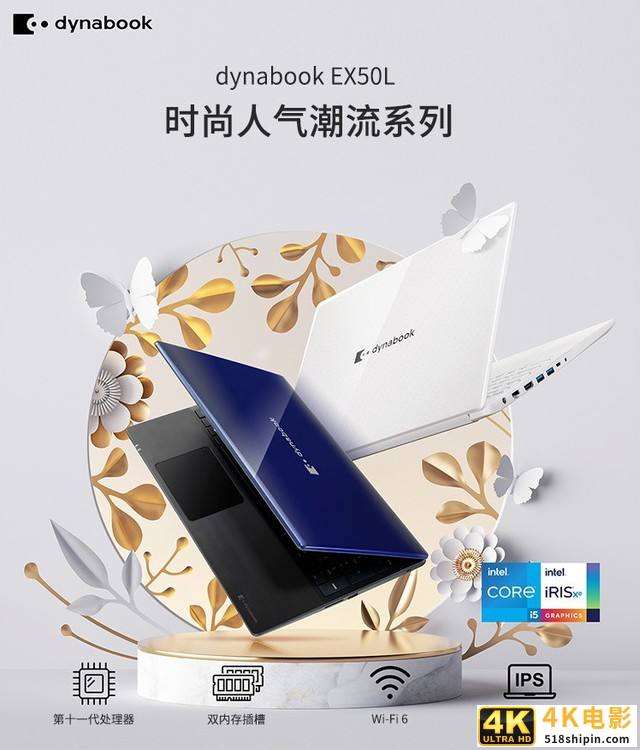 11代酷睿处理器加持 这款Dynabook EX50L达历史低价-第1张图片-90博客网