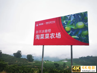 加码淘特&淘菜菜，阿里M2C模式发力下沉市场-第7张图片-90博客网