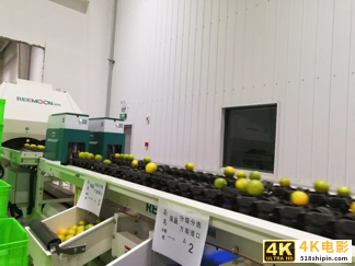 加码淘特&淘菜菜，阿里M2C模式发力下沉市场-第4张图片-90博客网