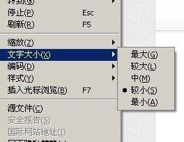 浏览器上的字体突然变大了或者变小怎么恢复?-第1张图片-90博客网