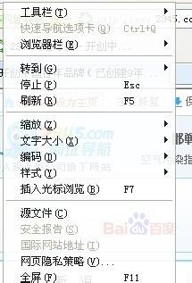 浏览器上的字体突然变大了或者变小怎么恢复?-第10张图片-90博客网