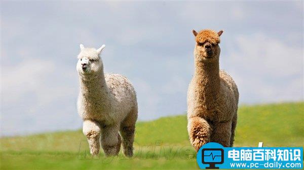 微软公布2014必应的十大美图壁纸桌面 附下载地址-第8张图片-90博客网