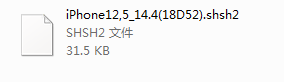 iPhone12备份SHSH2教程（不用电脑也行）-第4张图片-90博客网