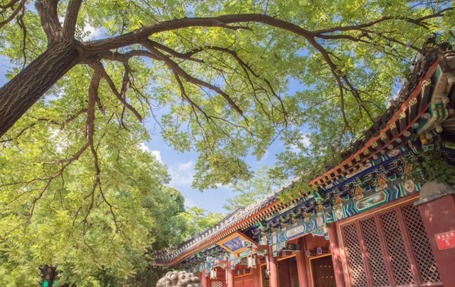 大专学历可以报名北大工商管理EMBA总裁班吗-第1张图片-90博客网