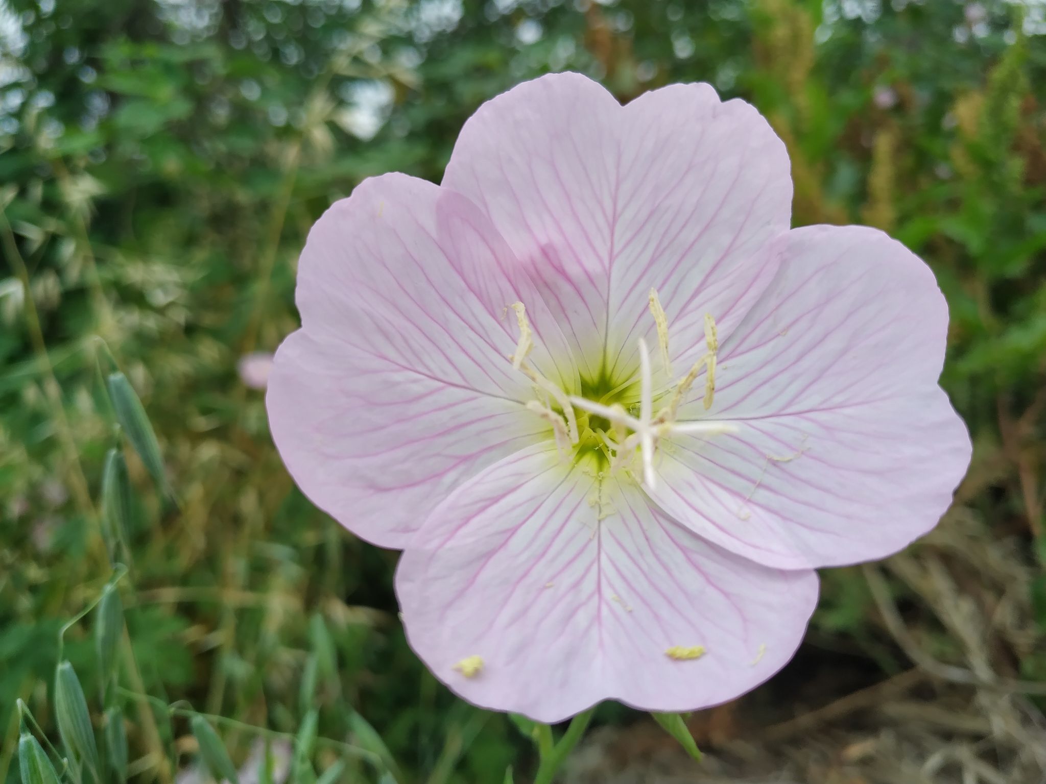 有什么副业可以推荐的？-第1张图片-90博客网