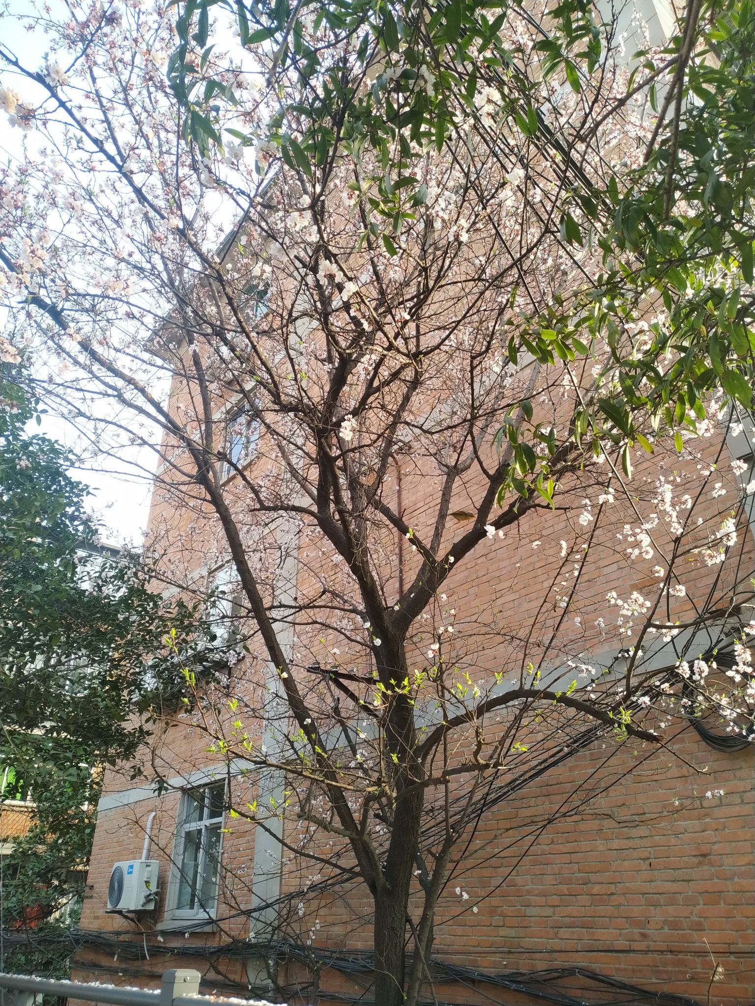 有什么副业可以推荐的？-第3张图片-90博客网