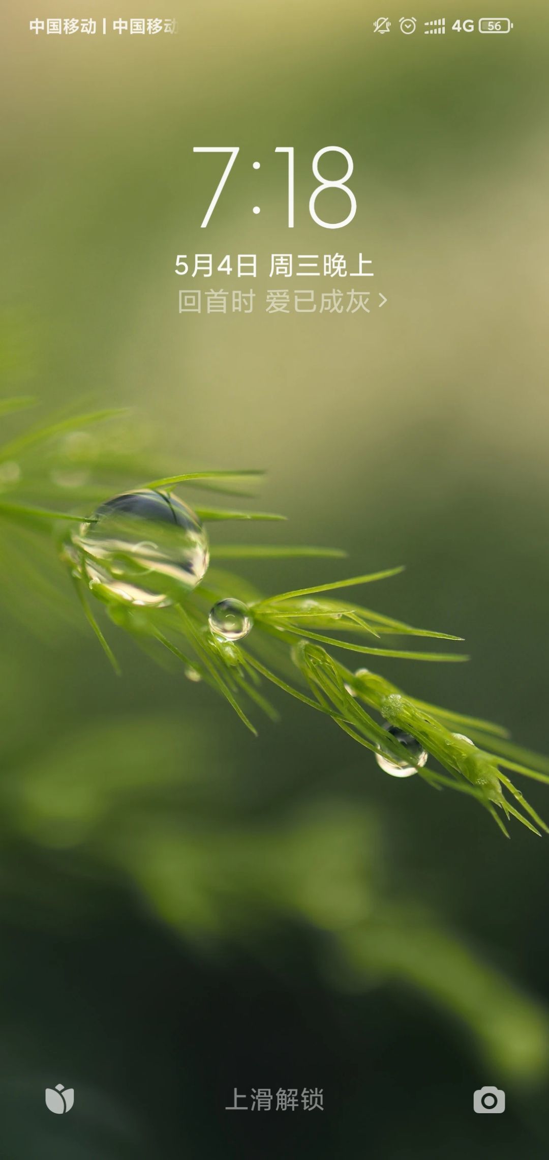 有什么副业可以推荐的？-第2张图片-90博客网