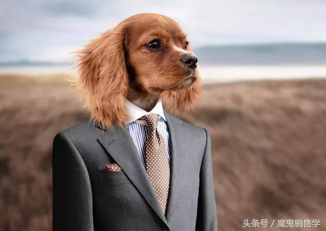 没背景的人,如何经营有价值的人脉?-第3张图片-90博客网 没背景的人,如何经营有价值的人脉?-第3张图片-90博客网