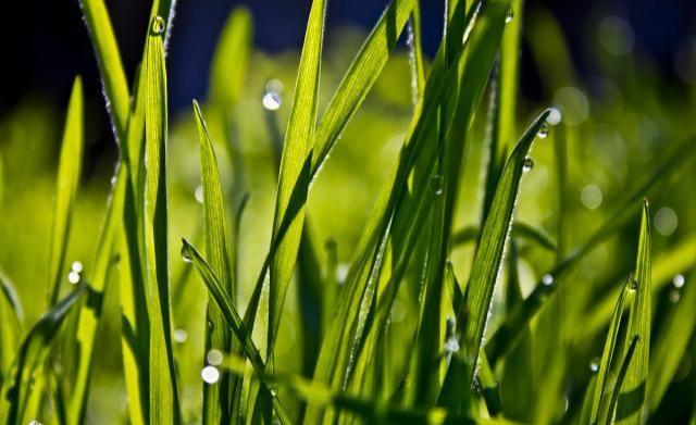 8个经营人脉的厚黑技巧!(行走社会必备)-第2张图片-90博客网 8个经营人脉的厚黑技巧!(行走社会必备)-第2张图片-90博客网