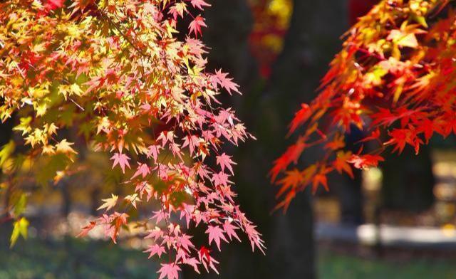 8个经营人脉的厚黑技巧!(行走社会必备)-第3张图片-90博客网 8个经营人脉的厚黑技巧!(行走社会必备)-第3张图片-90博客网