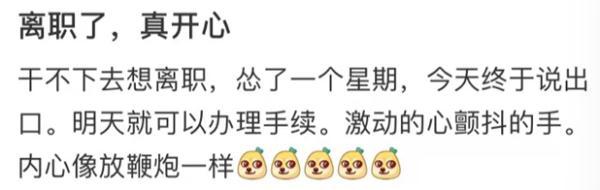 晒离职的人，真离了吗？-第3张图片-90博客网