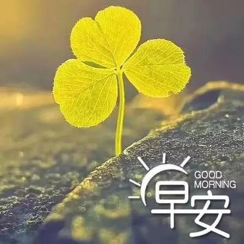 【浅谈销售】-第1张图片-90博客网