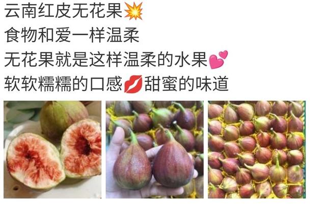 无花果文案：卖无花果水果的营销文案-第2张图片-90博客网