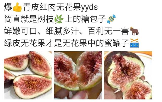 无花果文案：卖无花果水果的营销文案-第1张图片-90博客网