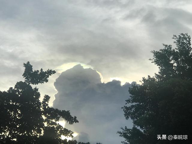 小段子｜趣话求职-第2张图片-90博客网