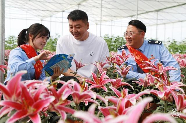 保山：奋力谱写财税工作现代化建设新篇章-第1张图片-90博客网