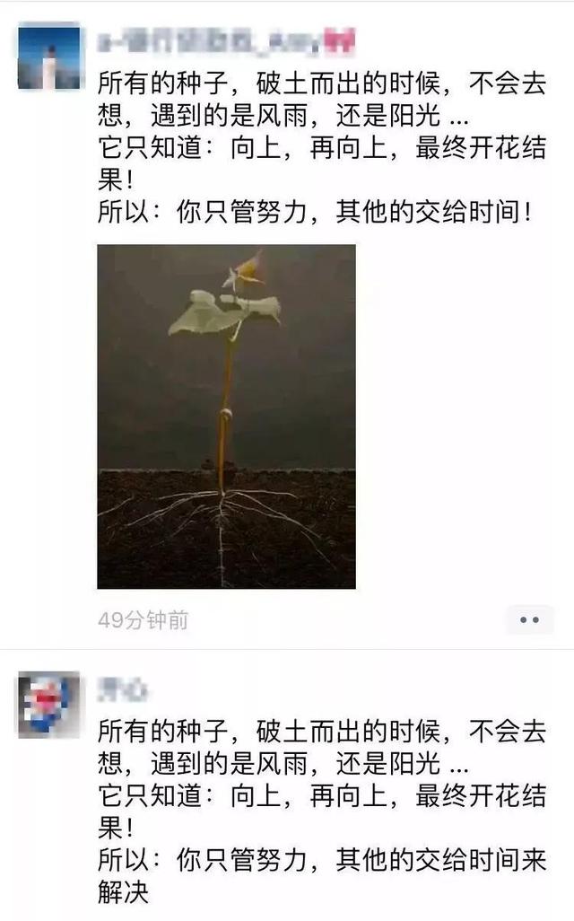 朋友圈营销文案太骚了，包你越看越上瘾还舍不得屏蔽-第46张图片-90博客网