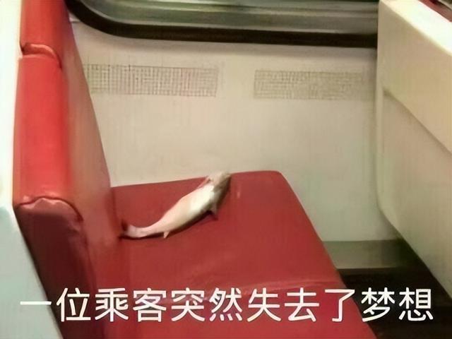 找工作面试我问HR是否双休，HR：“做你的咸鱼吧，我们不招你”-第7张图片-90博客网