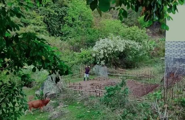 没钱却想提前退休，这些年轻人回老家，节衣缩食实现“财务自由”-第2张图片-90博客网