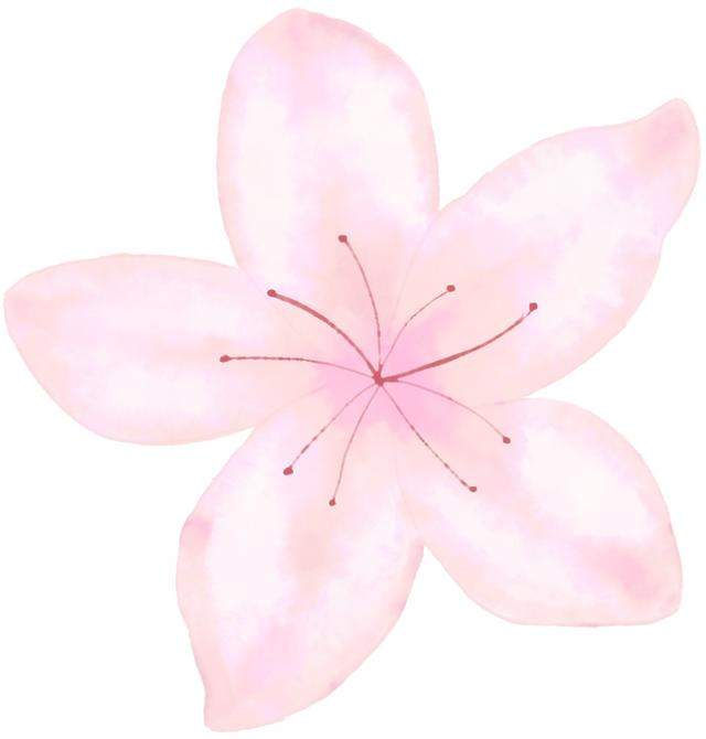 关于“年金”的税务知识知多少-第1张图片-90博客网 关于“年金”的税务知识知多少-第1张图片-90博客网