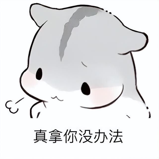 找工作面试我问HR是否双休，HR：“有能耐去考公，别来这面试”-第2张图片-90博客网
