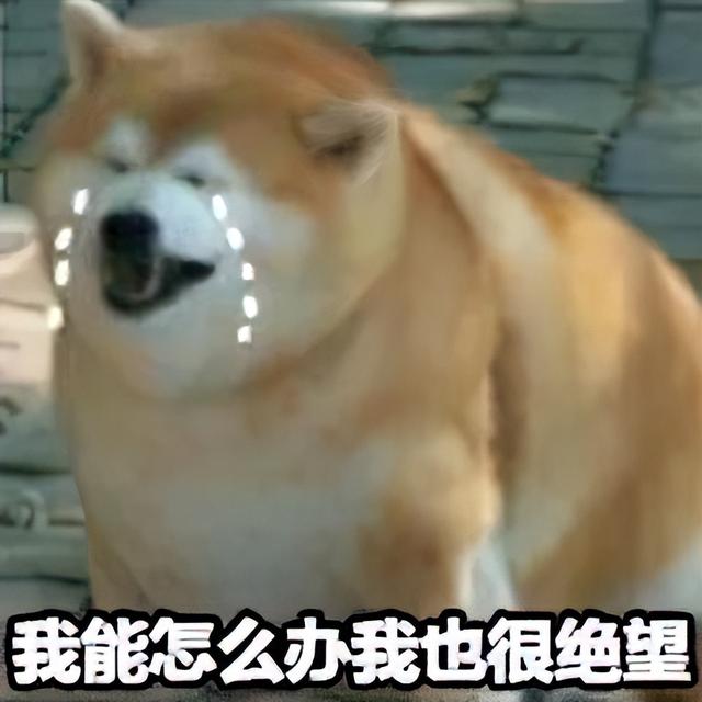 找工作面试我问HR是否双休，HR：“有能耐去考公，别来这面试”-第13张图片-90博客网