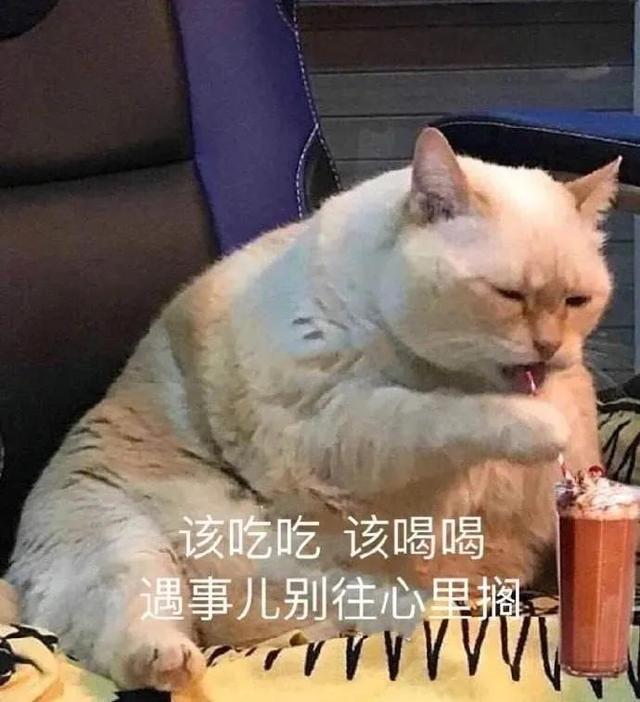 你，真的了解行政吗？-第5张图片-90博客网