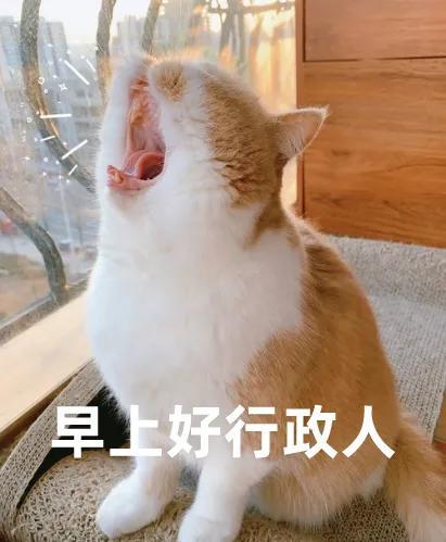 你，真的了解行政吗？-第3张图片-90博客网