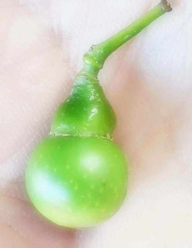 写日记的第4天：行政是干嘛的？-第1张图片-90博客网