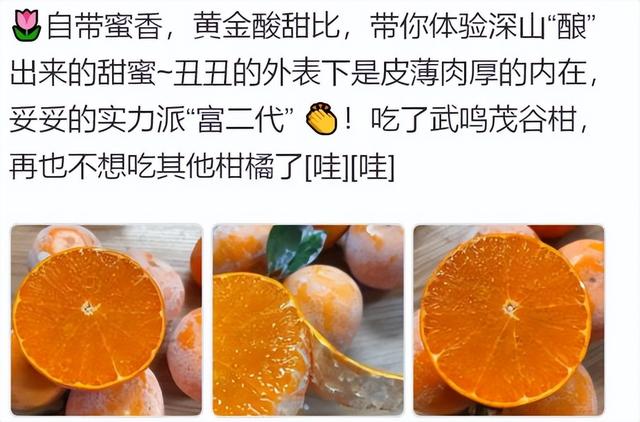 茂谷柑文案：销售水果茂谷柑文案，朋友圈水果文案茂谷柑-第2张图片-90博客网