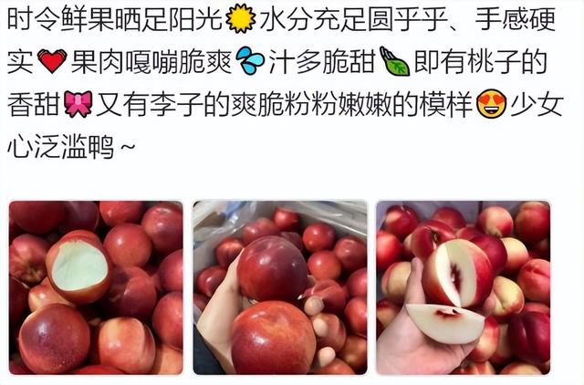 桃驳李文案：桃驳李水果促销广告文案，水果桃驳李文案该怎么写-第1张图片-90博客网