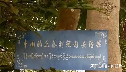 原创 | 柬埔寨:危险而又疯狂的台湾黑帮-第18张图片-90博客网 原创 | 柬埔寨:危险而又疯狂的台湾黑帮-第18张图片-90博客网