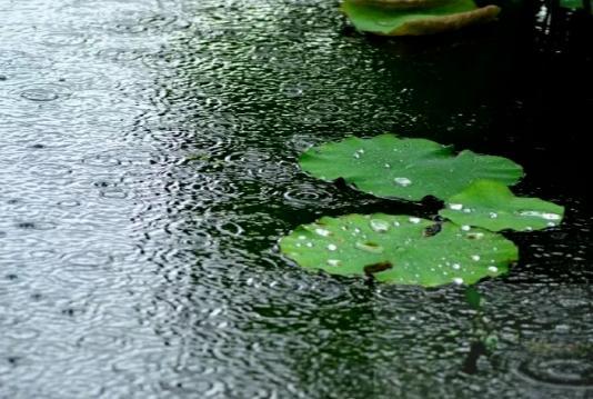 古诗词的意韵:无一字孤独,无一句不孤寂。-第73张图片-90博客网 古诗词的意韵:无一字孤独,无一句不孤寂。-第73张图片-90博客网