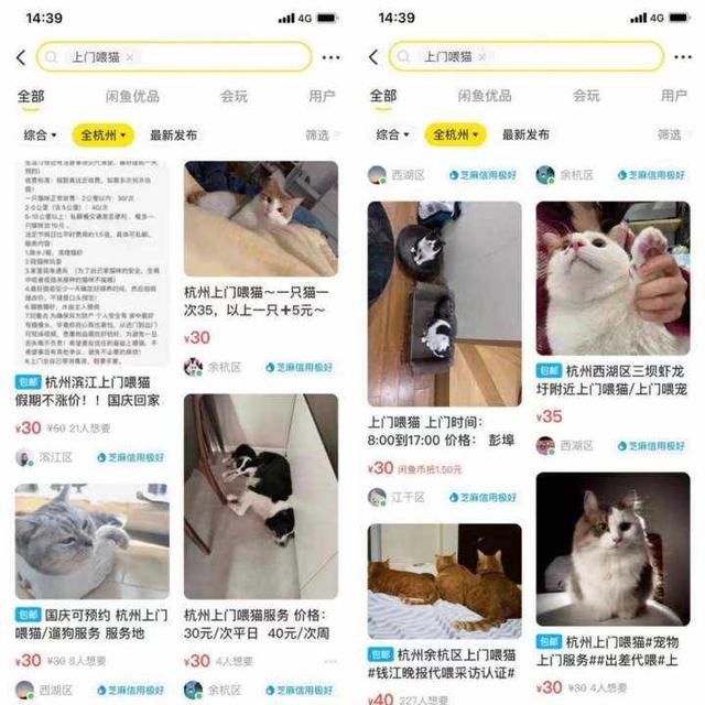 出租露营装备、兼职伴娘、上门喂宠……年轻人长假这样搞副业-第3张图片-90博客网