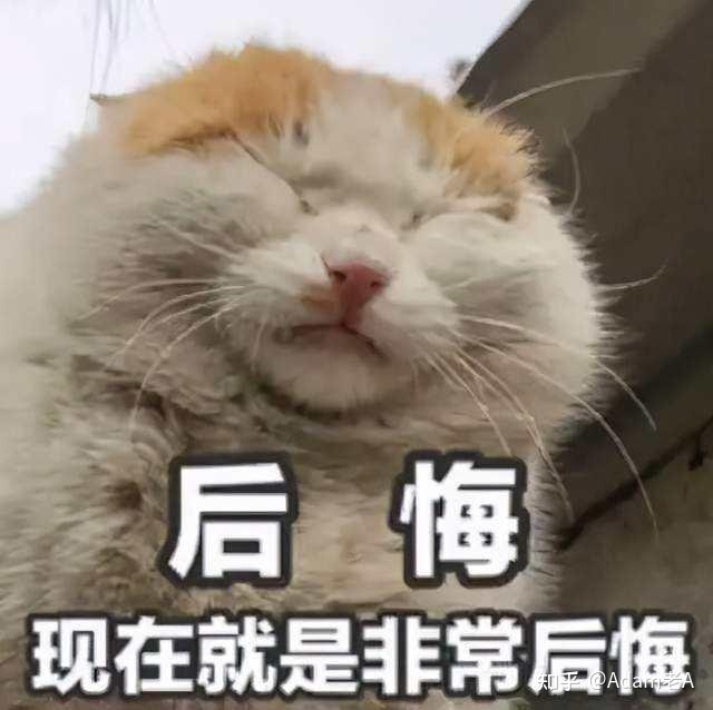 TikTok提升转化率,就是这么简单,方法教给大家-第9张图片-90博客网 TikTok提升转化率,就是这么简单,方法教给大家-第9张图片-90博客网