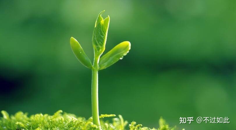 年底了，你准备好升职加薪了吗？-第2张图片-90博客网