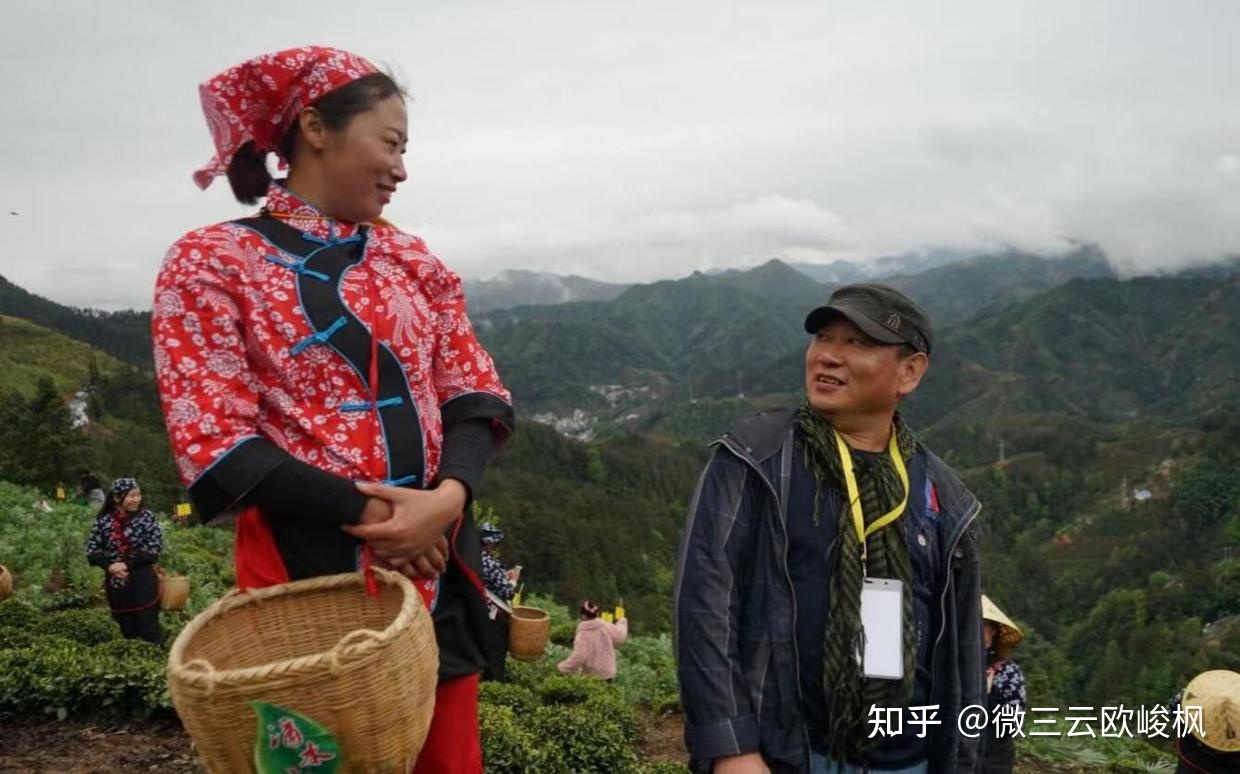 线上茶叶市场的痛点以及解决办法-第2张图片-90博客网 线上茶叶市场的痛点以及解决办法-第2张图片-90博客网