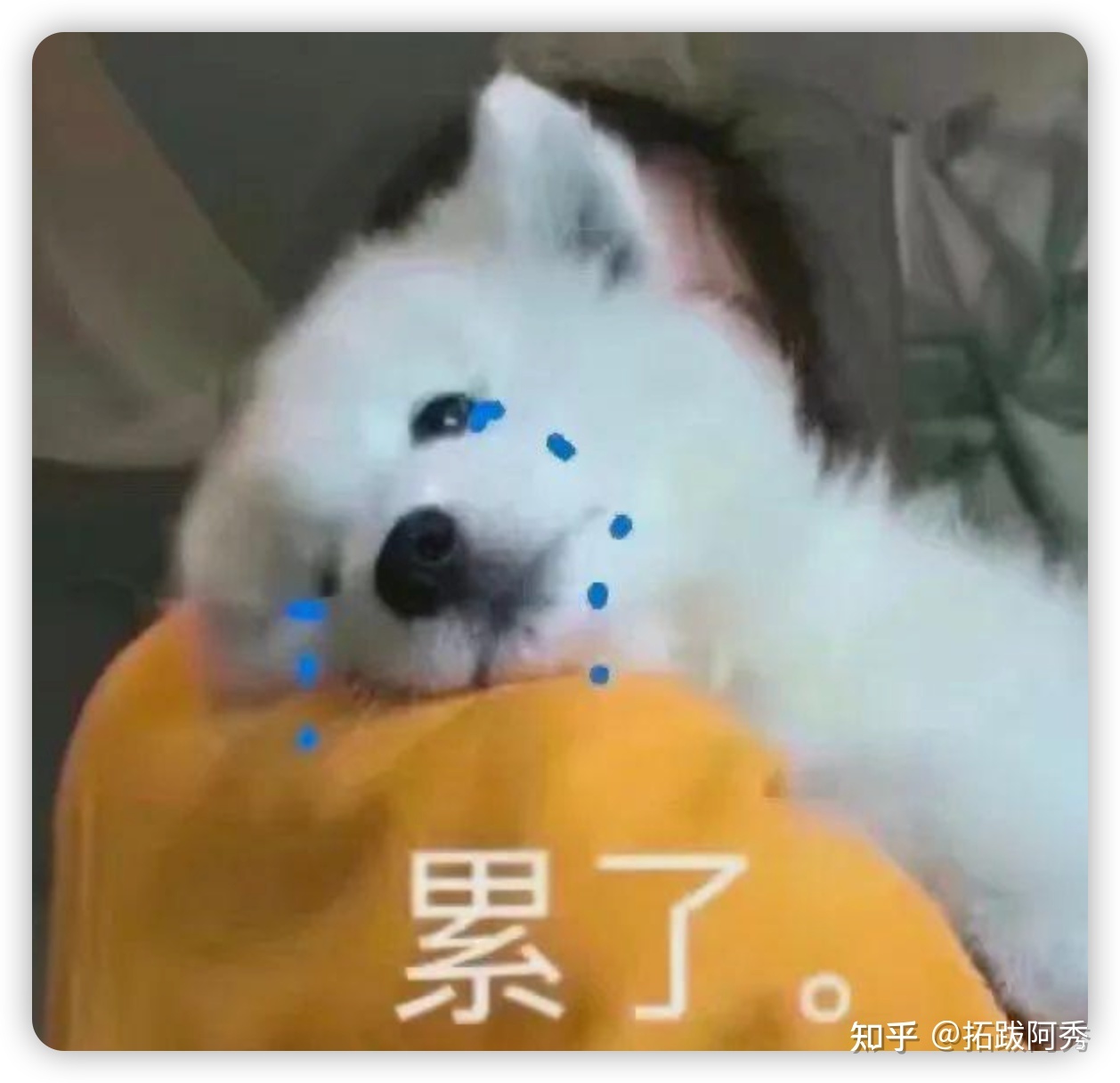 如何看待 2023 年秋招 C++ 后端开发岗一片红海?-第1张图片-90博客网 如何看待 2023 年秋招 C++ 后端开发岗一片红海?-第1张图片-90博客网