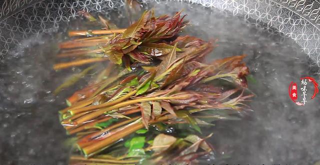 4月必吃的“树上花”！健脾开胃，采摘时间短，现在吃鲜嫩正当季-第5张图片-90博客网