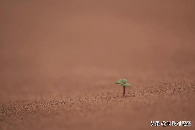 这些年你看不起的微商，或许是一种更高级的商业模式-第4张图片-90博客网