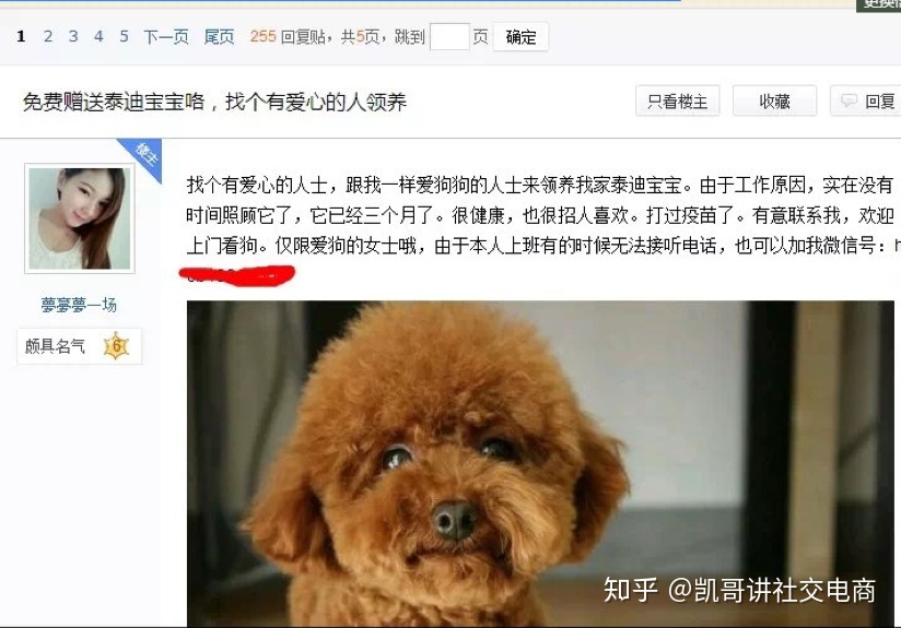微商如何2天加3000好友?手把手教微商小白如何高效引流 ...-第4张图片-90博客网 微商如何2天加3000好友?手把手教微商小白如何高效引流 ...-第4张图片-90博客网